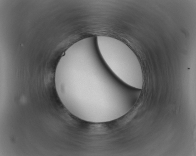 X0000114530281200910191016