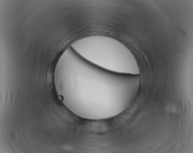 X0000114530282200910191016