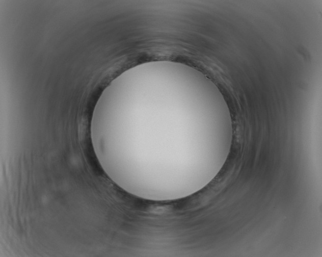 X0000114530283200910191016