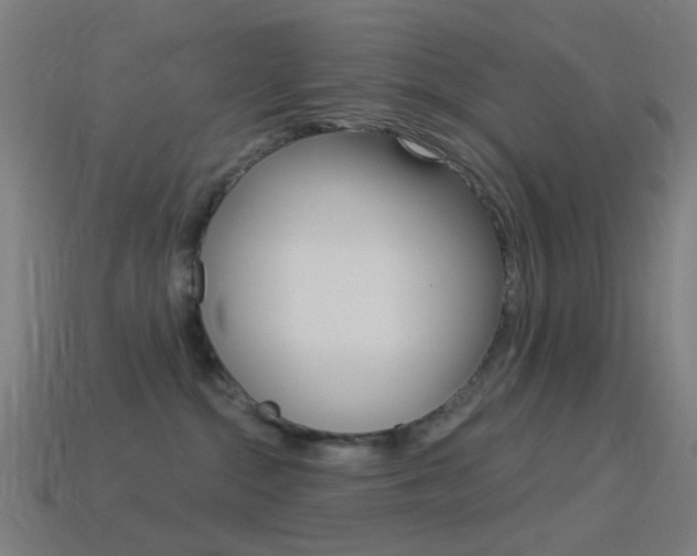 X0000114530284200910191016