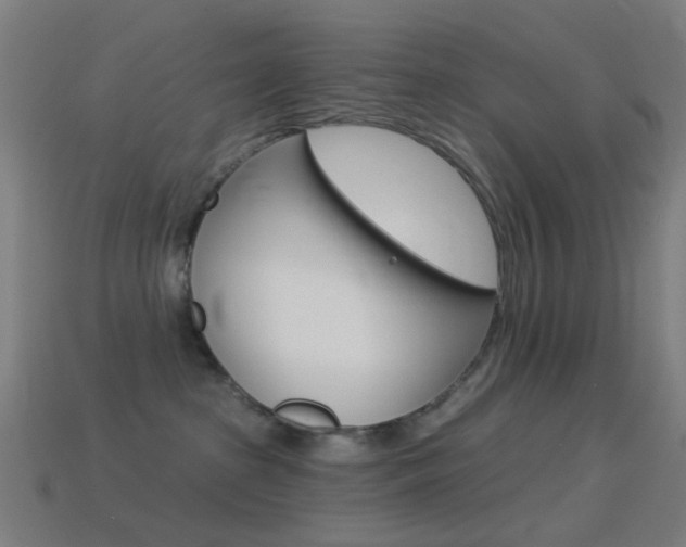 X0000114530285200910191016