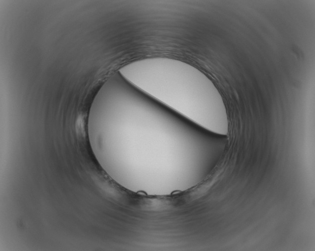 X0000114530286200910191016