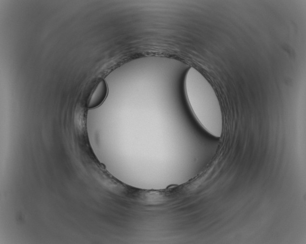 X0000114530287200910191016