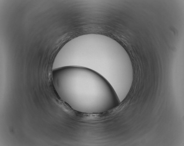 X0000114530288200910191016