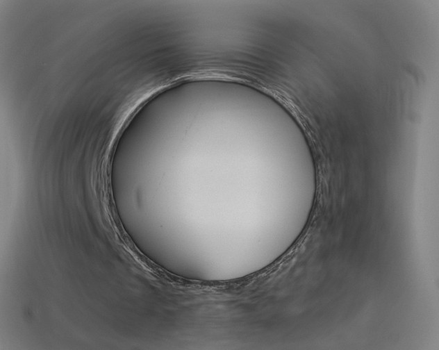 X0000114530289200910191015