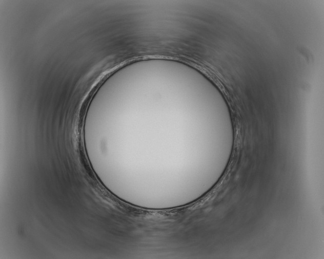 X0000114530290200910191015