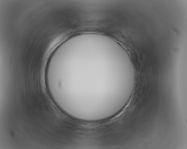 X0000114530293200910191015