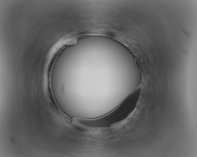 X0000114530294200910191015