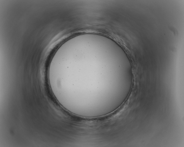 X0000114530295200910191015