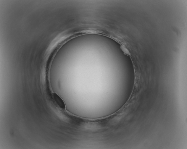 X0000114530296200910191015