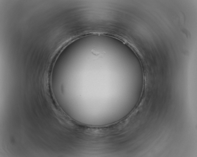 X0000114530297200910191015