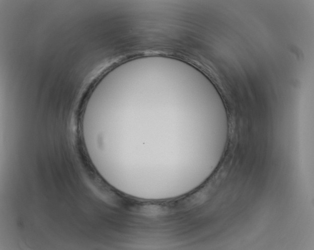 X0000114530298200910191015