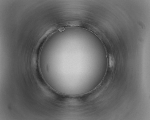 X0000114530300200910191015