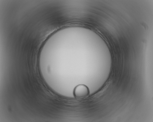 X0000114530301200910191015