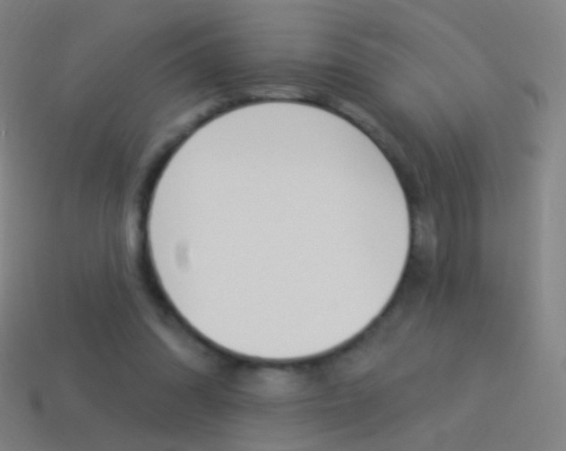 X0000114530302200910191015