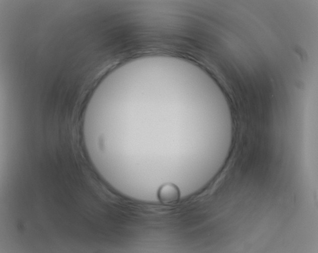 X0000114530305200910191015