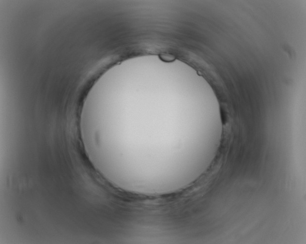 X0000114530306200910191015