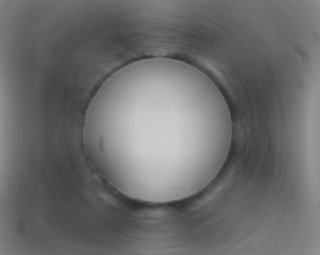 X0000114530307200910191015