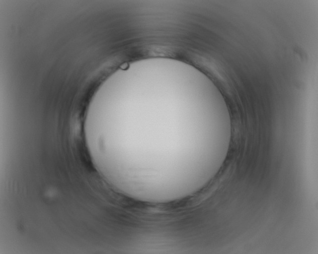 X0000114530310200910191015