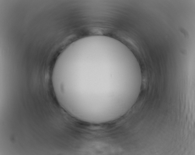 X0000114530314200910191015