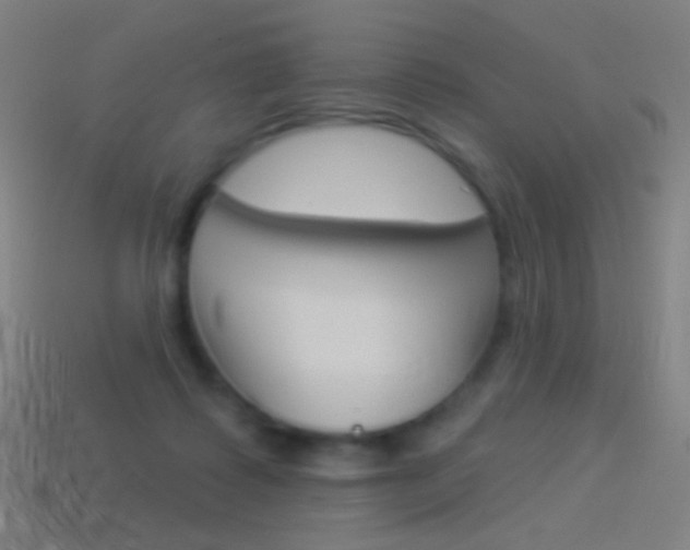 X0000114530315200910191015