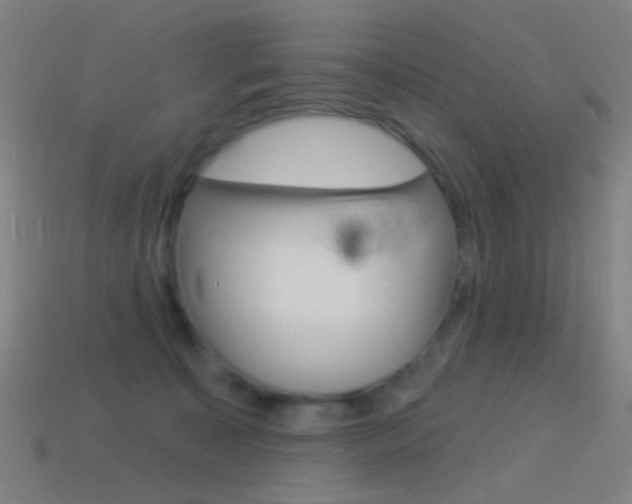 X0000114530323200910191015