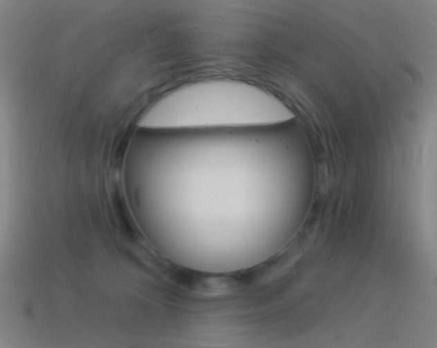 X0000114530324200910191015