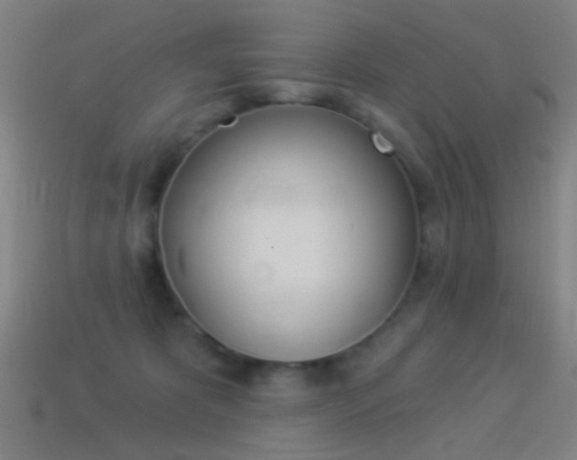 X0000114530325200910191015