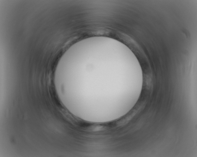 X0000114530326200910191015