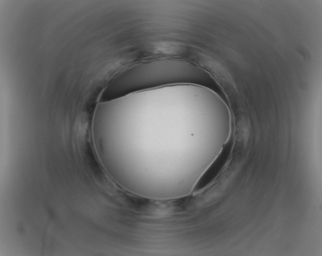 X0000114530328200910191015