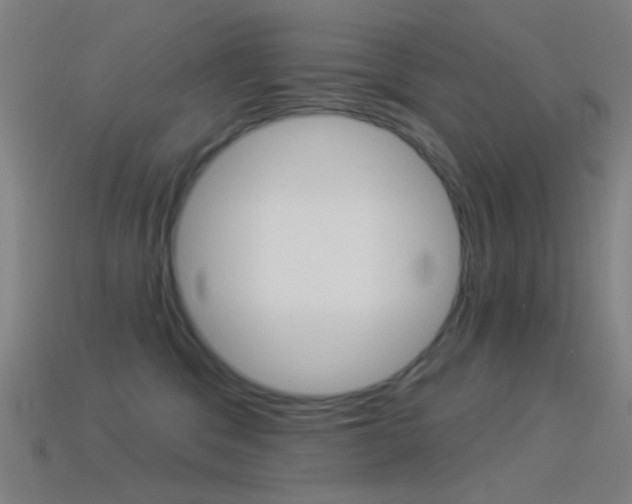 X0000114530329200910191015