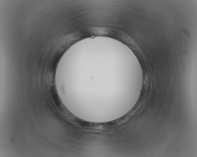 X0000114530330200910191015