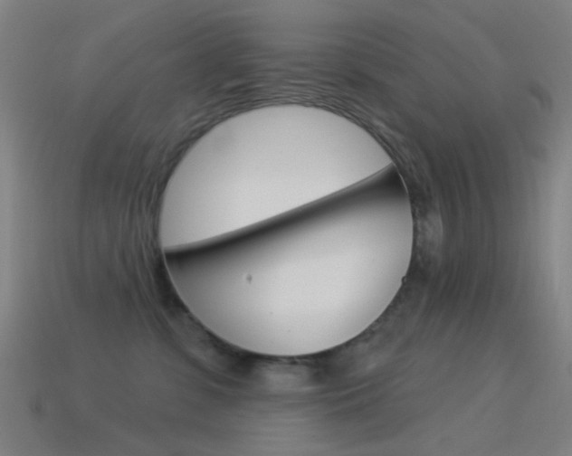 X0000114530331200910191015