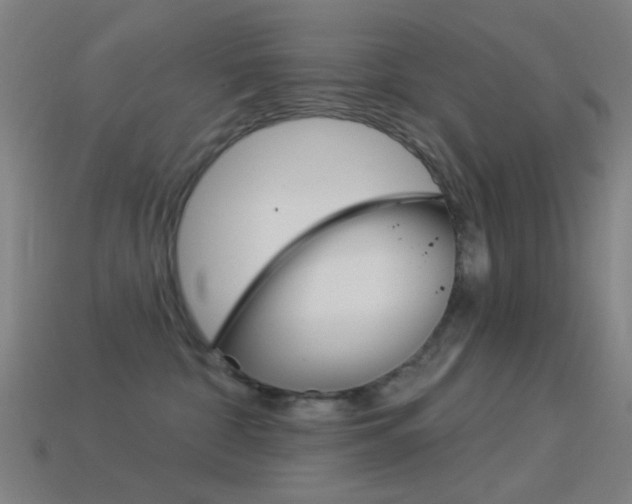 X0000114530332200910191015