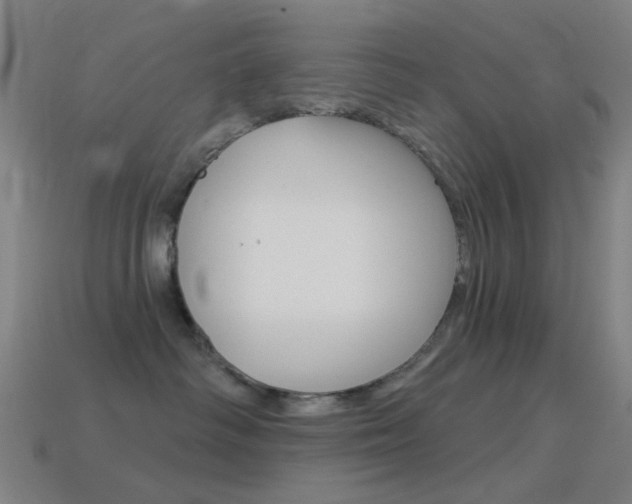 X0000114530334200910191015