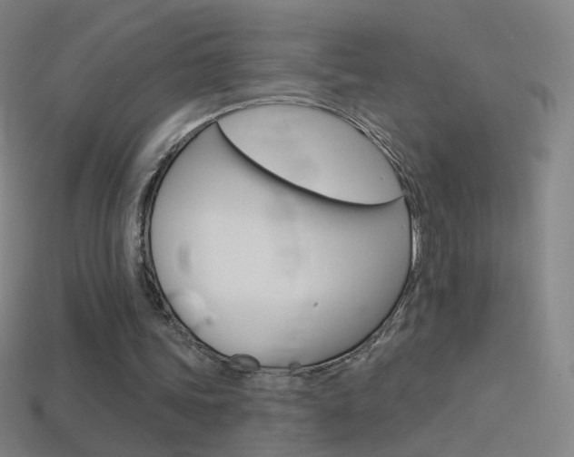 X0000114530339200910191014
