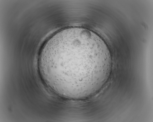 X0000114530346200910191014