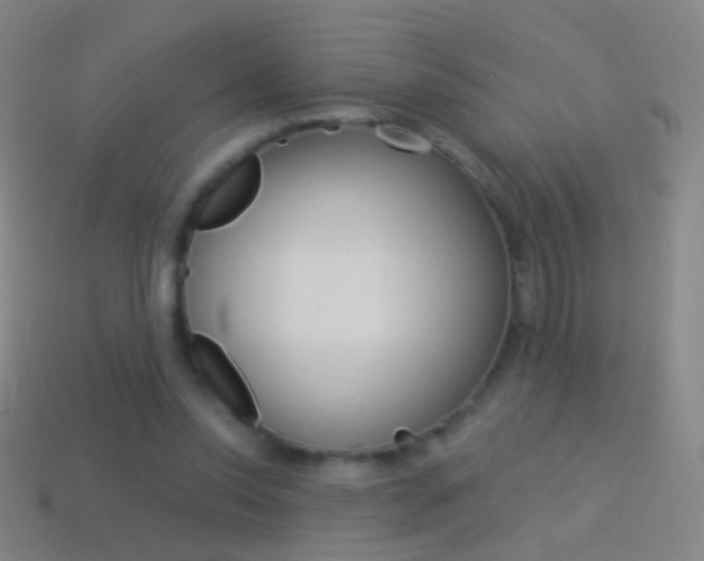 X0000114530350200910191014