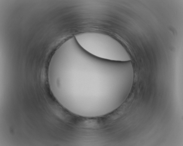 X0000114530353200910191014