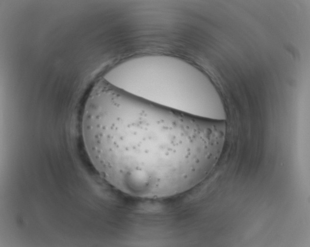 X0000114530354200910191014