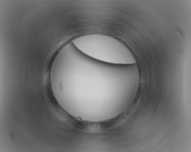 X0000114530355200910191014