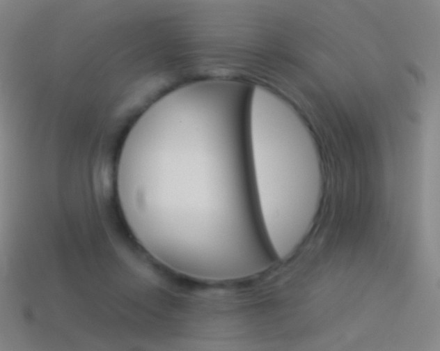 X0000114530358200910191015