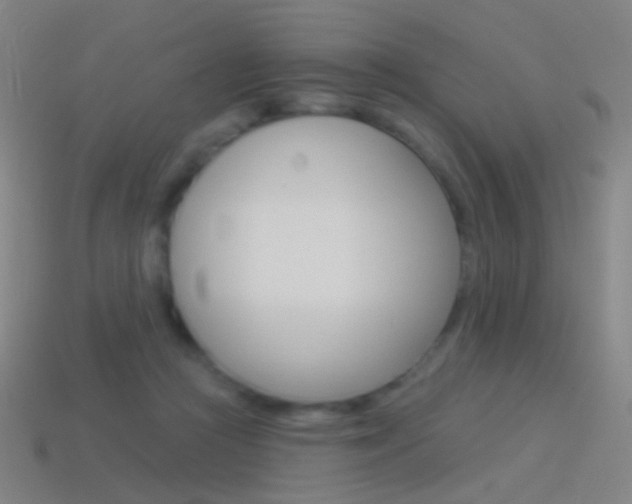 X0000114530361200910191015
