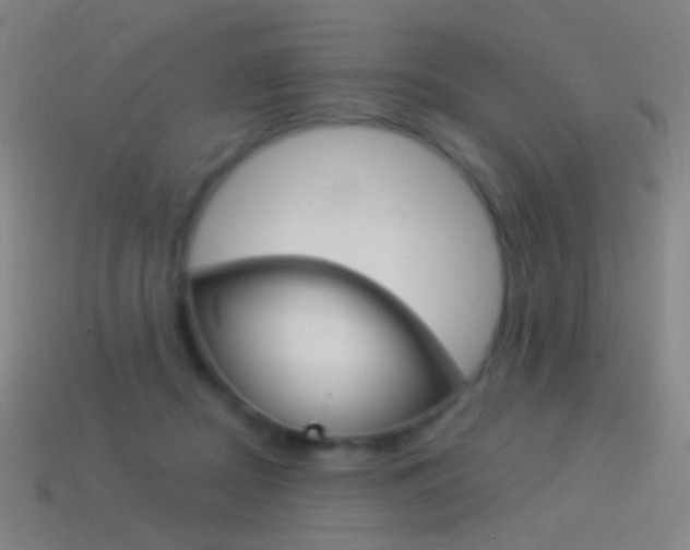 X0000114530362200910191015