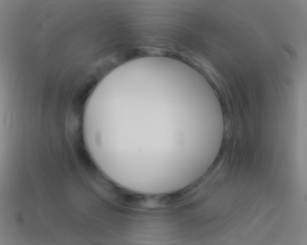 X0000114530365200910191015