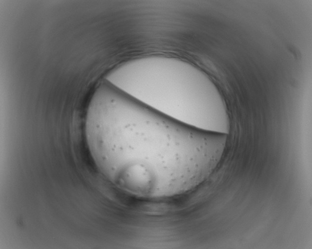 X0000114530366200910191015