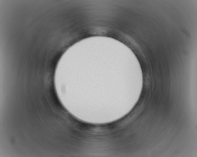 X0000114530370200910191015