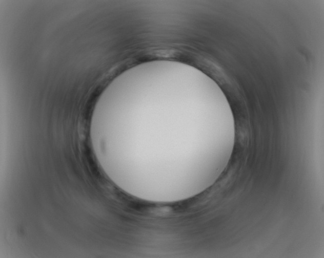 X0000114530374200910191015