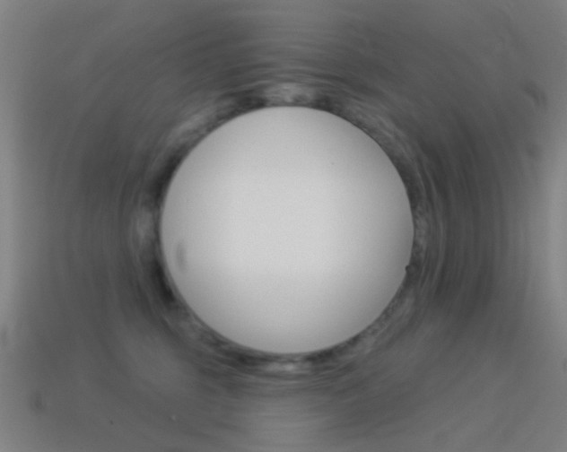 X0000114530375200910191015