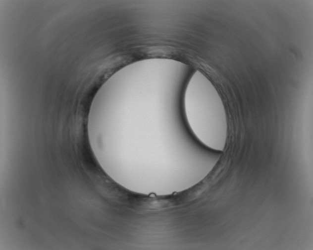 X0000114530379200910191015